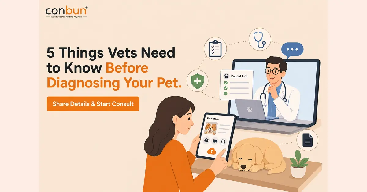 5 Things Vets Need to Know Before Diagnosing Your Pet